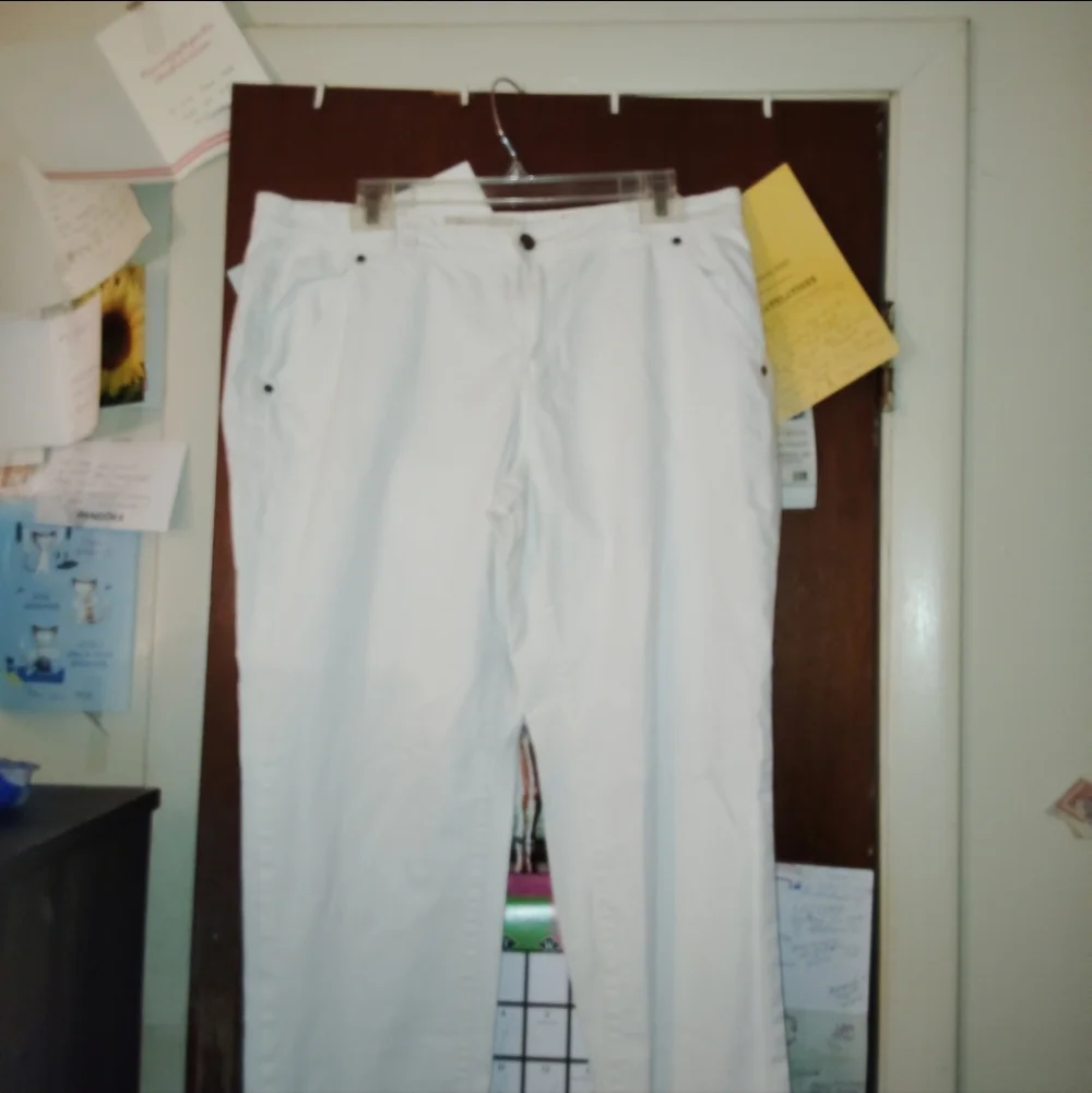 PILCRO & THE LETTERPRESS anthropology High Rise White Jeans Size 32" - Picture 3 of 11